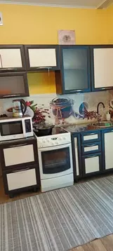 1-к кв. Красноярский край, Красноярск ул. Борисова, 40 (40.0 м)