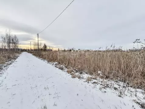 Участок в Тюменская область, Нижнетавдинский муниципальный округ, ...