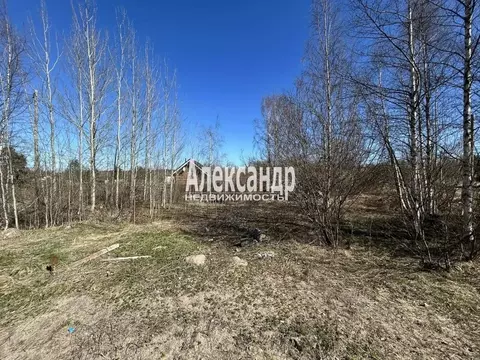 Участок в Ленинградская область, Приозерское городское поселение, пос. ...