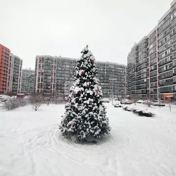 1-к кв. Ленинградская область, Всеволожский район, пос. Бугры бул. ...