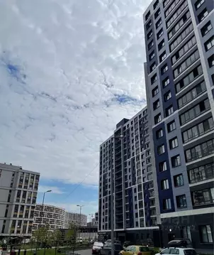 1-к кв. Ленинградская область, Мурино Всеволожский район, ул. ...