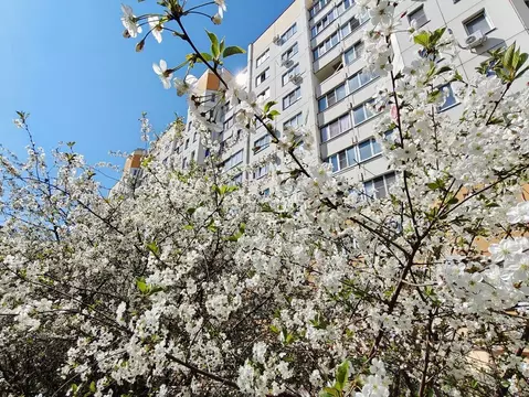 1-к кв. Воронежская область, Воронеж ул. 9 Января, 241/5 (38.6 м)