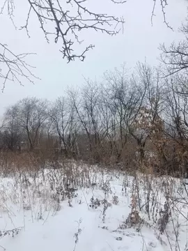 Участок в Амурская область, Благовещенский район, с. Чигири Рабочая ...