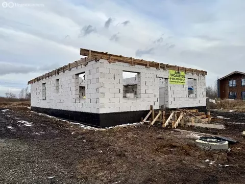 Дом в Петровский, Придорожная улица, 36 (130 м)