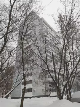 1-к кв. Москва Заревый проезд, 4 (38.0 м)