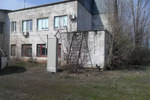 Помещение свободного назначения в Воронежская область, Таловский ...