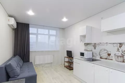 Студия Тюменская область, Тюмень ул. Первооткрывателей, 2 (26.0 м)