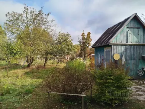 Дом в Тверская область, Конаковский муниципальный округ, Химик СТ  (24 ...