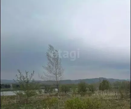 Участок в Алтайский край, Алтайский район, Айский сельсовет, ...