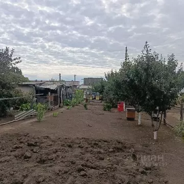 Участок в Саратовская область, Воскресенский район, Елшанское ...