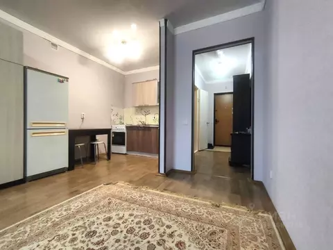 Студия Пензенская область, Пензенский район, Засечный сельсовет, с. ...