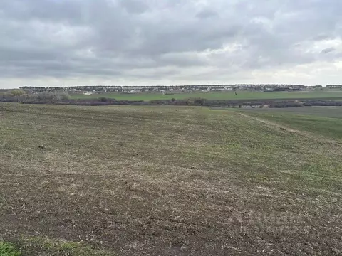 Участок в Крым, Симферопольский район, с. Трудовое ул. Зеленая (146.8 ...