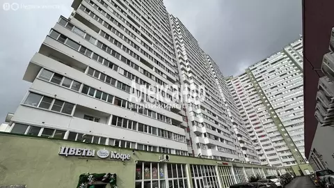 Квартира-студия: посёлок Шушары, Валдайская улица, 6к2 (28 м)