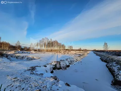 Участок в Тюменская область, Нижнетавдинский муниципальный округ (8 м)