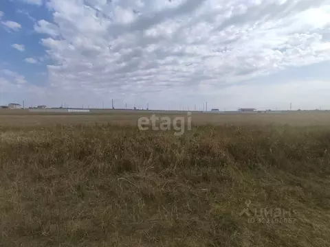 Участок в Крым, Черноморский район, Оленевское с/пос, с. Оленевка ул. ...