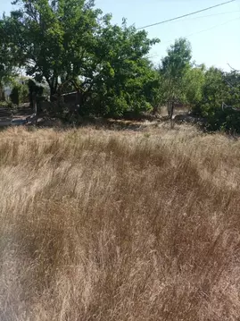 Участок в Крым, Ленинский район, Щелкино городское поселение, ...