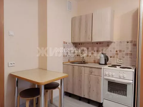 Студия Новосибирская область, Новосибирск ул. Петухова, 101 (22.0 м)