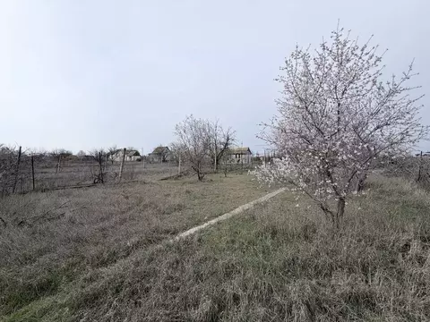 Участок в Крым, Саки Энергетик СНТ,  (6.0 сот.)