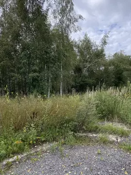 Участок в Московская область, Дмитровский муниципальный округ, ...