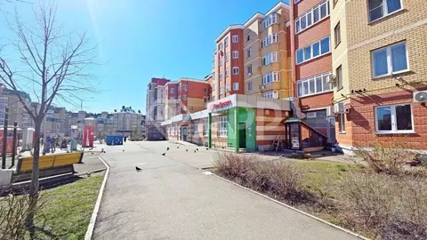 Помещение свободного назначения в Татарстан, Казань ул. Баки Урманче, ...