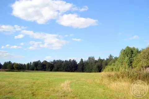 Участок в Ленинградская область, Выборгский район, Полянское с/пос, ...