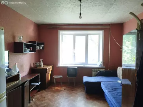 1к в 8-комнатной квартире (13.5 м)