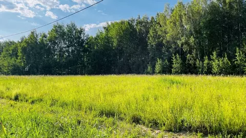 Участок в Московская область, Дмитровский муниципальный округ, пос. ...