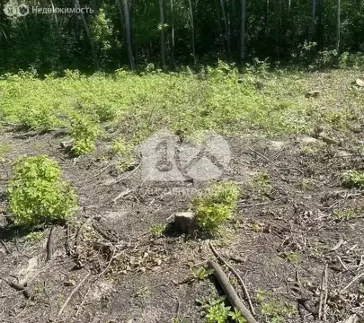 Участок в Станционный сельсовет, коттеджный посёлок Никольский парк, ...