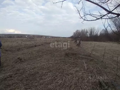 Участок в Башкортостан, Бирский район, Сусловский сельсовет, с. ...