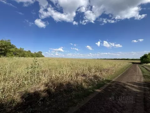 Участок в Оренбургская область, с. Сакмара  (28.0 сот.)