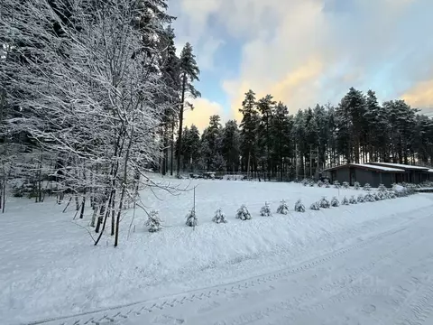 Участок в Ленинградская область, Всеволожский район, Куйвозовское ...
