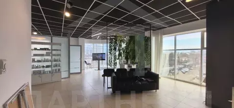 Офис в Краснодарский край, Краснодар Центральный мкр, ул. Кирова, 141 ...