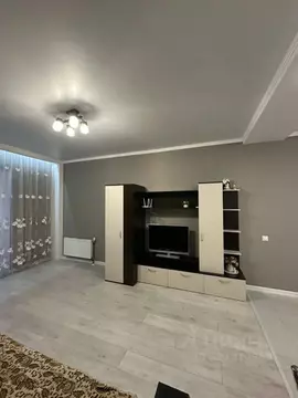 Студия Ростовская область, Ростов-на-Дону Киргизская ул., 38Г (34.0 м)