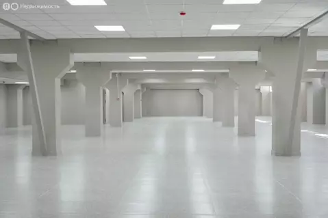 Помещение свободного назначения (50 м)