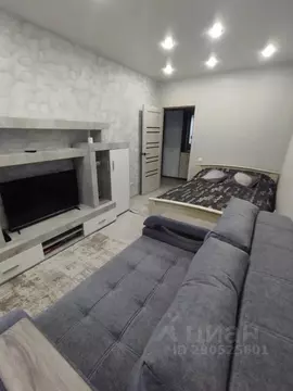 1-к кв. Амурская область, Благовещенск Октябрьская ул., 233 (39.0 м)