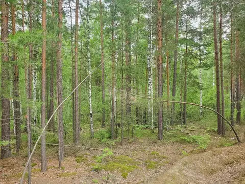 Участок в Тюменская область, Тюменский муниципальный округ, д. ...