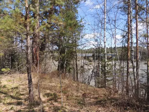 Участок в Алтай, Турочакский район, с. Верх-Бийск Школьная ул. (129.0 ...