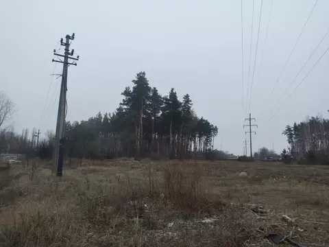 Участок в Воронежская область, Воронеж Первое Мая мкр,  (8.0 сот.)