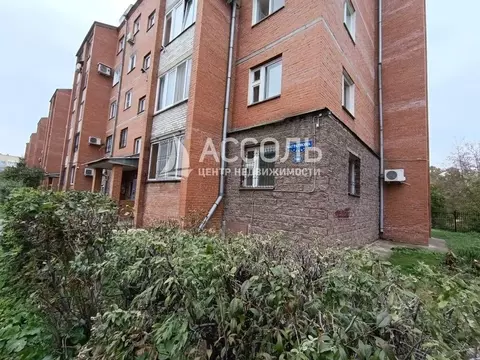 1-к кв. Омская область, Омск пос. Амурский, ул. Багратиона, 21к1 (43.2 ...