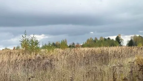 Участок в Московская область, Кашира городской округ, д. Колтово  ...