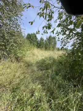 Участок в Свердловская область, Нижний Тагил с. Ольховка,  (10.25 ...