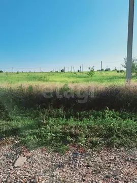 Участок в Саратовская область, Балашовский район, Хоперское ...