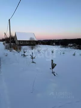 Участок в Ленинградская область, Лужский район, Толмачевское городское ...