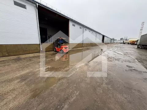 Производственное помещение в Московская область, Рузский муниципальный ...