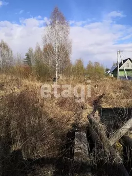 Участок в Костромская область, Костромской район, Шунгенское с/пос, ...