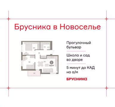 2-комнатная квартира: городской посёлок Новоселье, ЖК Брусника (55.57 ...