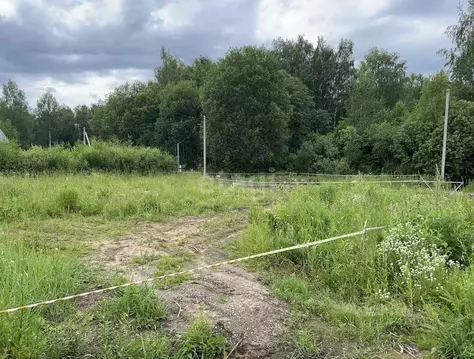 Участок в Костромская область, Красносельский район, Боровиковское ...