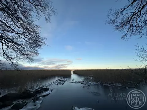 Участок в Ленинградская область, Выборгский район, Приморское ...