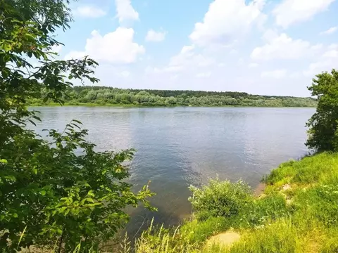 Участок в Тульская область, Ясногорский район, Иваньковское с/пос, с. ...