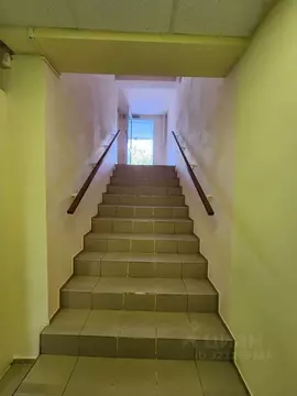 Помещение свободного назначения в Краснодарский край, Анапа ул. ...